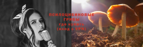 бутират Горнозаводск